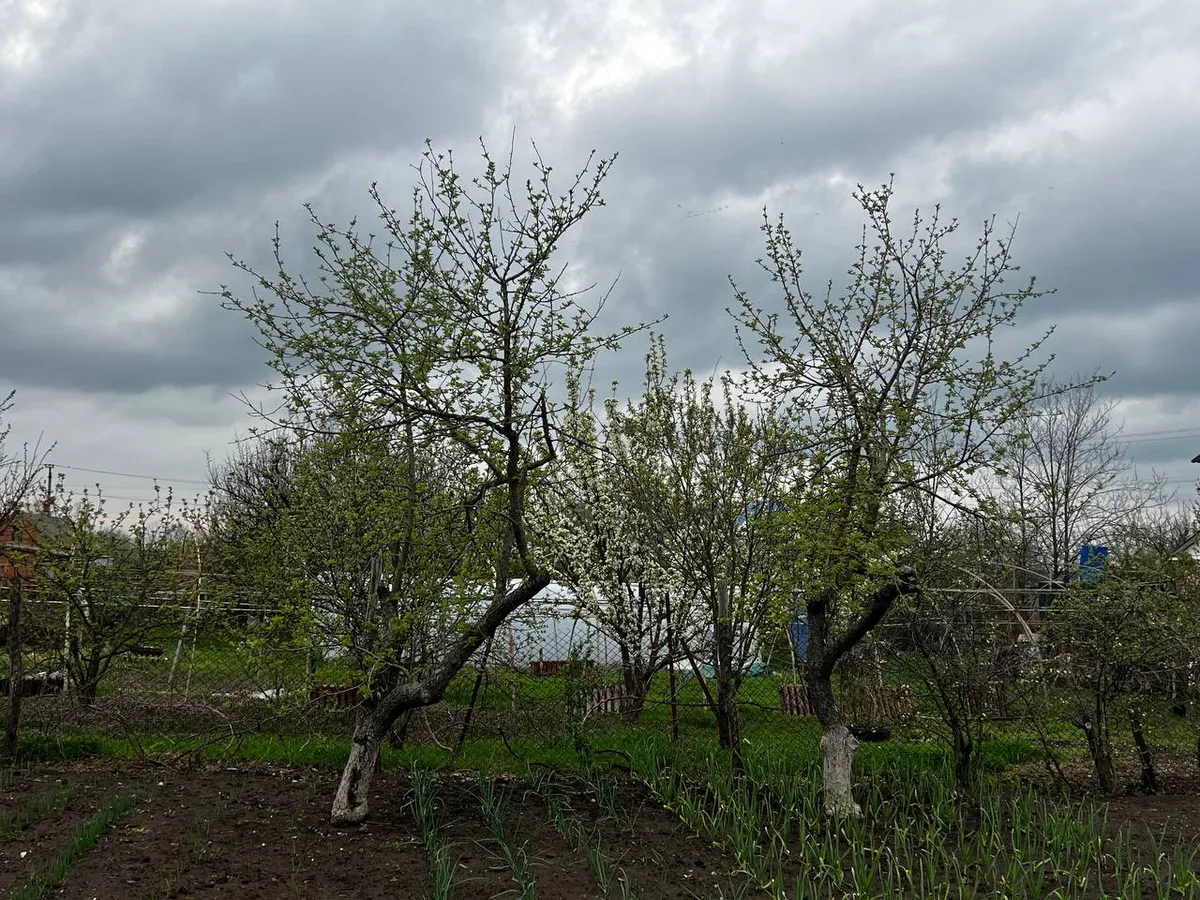 Лето 2025 года будет самым сумасшедшим в XXI веке: синоптики рассказали, к чему готовиться