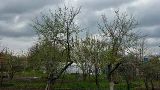 Лето 2025 года будет самым сумасшедшим в XXI веке: синоптики рассказали, к чему готовиться