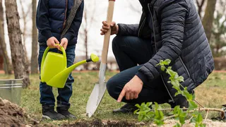 Детские сады Владимирской области тоже участвуют во Всероссийской акции «Сохраним лес»