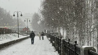 Умные люди после 50 сужают свой круг общения - и вот почему: гениальный стих Андрея Дементьева - должен знать каждый