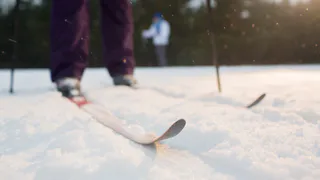 Во Владимире продолжается подготовка к строительству новой лыжероллерной трассы в парке «Дружба»