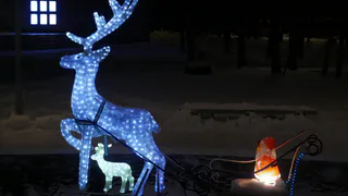 4 из 10 жителей Коми имеют новогодние традиции