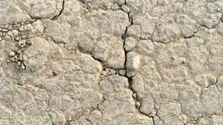 3 горсти под перекопку – и даже "чугунная" почва станет легче пушинки: совет опытного овощевода