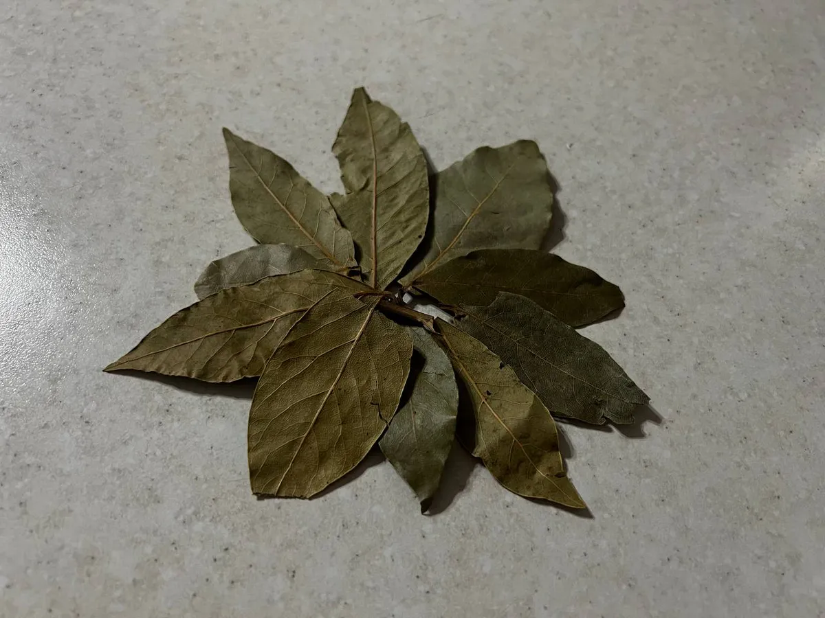 Прячу 3 лавровых листа в наволочку: лайфхак опытной хозяйки - и еще 4 хитрости с лаврушкой для дома