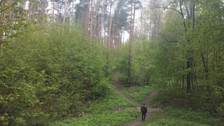 В Рязанской области объявлен четвертый класс пожарной опасности