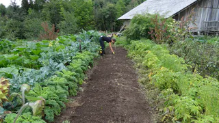 Все, с марта 2024 действует строгий запрет: новое правило коснется всех, у кого есть дача и огород