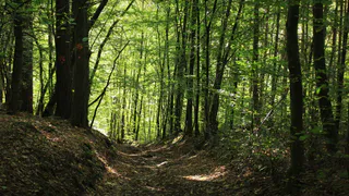 В Рязанской области создали новую особо охраняемую природную зону