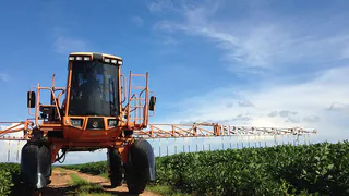 Майские заботы садоводов: как защитить растения от вредителей