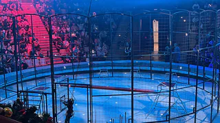 Во время представления в цирке Казани  артист упал с велосипеда