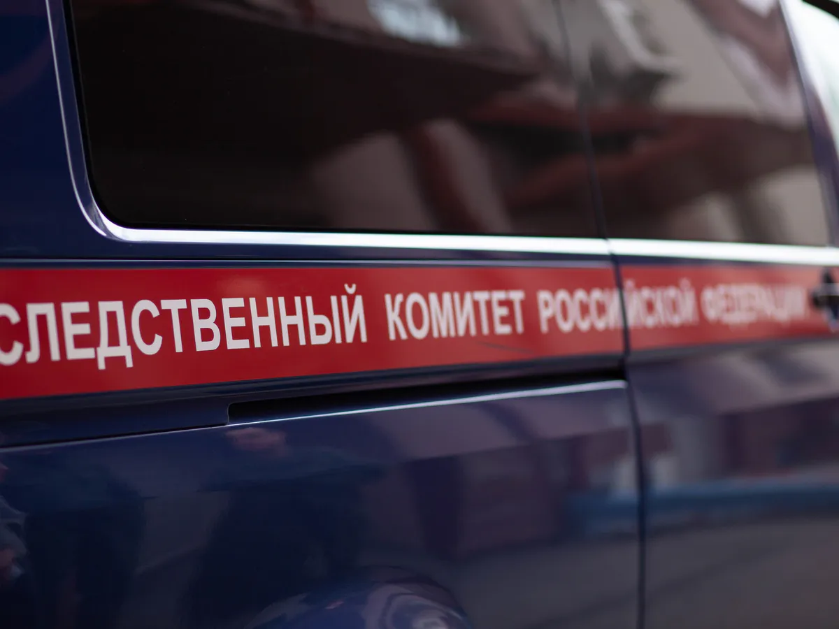 В Магнитогорске возбуждено уголовное дело в отношении сотрудника ветстанции