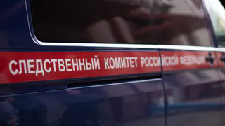 В Магнитогорске возбуждено уголовное дело в отношении сотрудника ветстанции