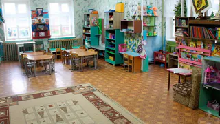 Бастрыкин поручил проверить сообщение о нарушении прав детей в селе Красном Суздальского района