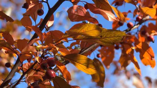 Тепла не будет, а снег возможен - прогноз погоды на неделю