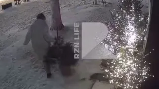 В Рязани попало на видео хищение елки с улицы 
