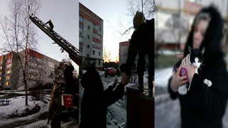 В Брянске сотрудники МЧС спасли кота Васю