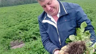 В Брянской области создадут центр селекции и семеноводства