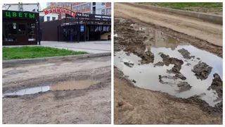 Стихийная парковка: автомобили уничтожили газон возле канищевского рынка