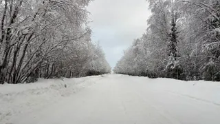 «Циклоны приносят оттепель»: Челябинскую область ожидают аномальные температуры и осадки