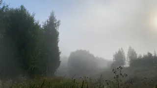 11 сентября туманы и ночная прохлада окутают Коми