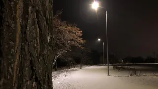 В Рязанской области побили рекорд 1902 года. Правда, по морозам