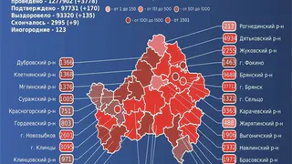Девять брянцев умерли от коронавируса за сутки