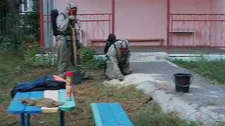 В Пензе спасатели ликвидировали осиное гнездо на территории садика