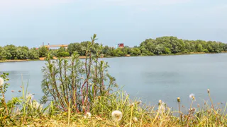 Последние летние дни: в Рязани потеплеет до +32