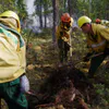 В десяти районах Брянской области в июне ожидается повышенная пожарная опасность