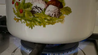 Указ вступает в силу: с 1 февраля начнут выписывать штраф 1500 рублей в сутки для собственников квартир с газовой плитой