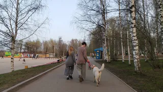 Челябинская область готовится к похолоданию: ночные температуры опустятся до 3 градусов