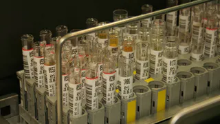 Ученые определили самую «глупую» группу крови