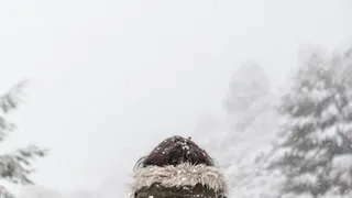 О погоде в Рязани - выходные будут морозными и снежными