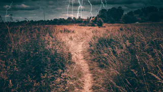 В Рязанской области утром 20 июня выпустили метеопредупреждение из-за грозы и ветра