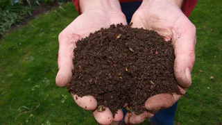 "Получается изумительный чернозём всего за год": три ошибки, которые совершают дачники в организации компоста и как их избежать