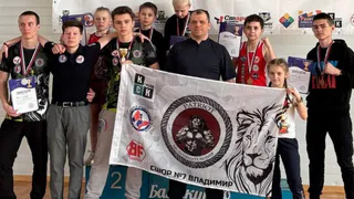Владимирские тайбоксеры завоевали «золото», «серебро» и «бронзу» на областных соревнованиях