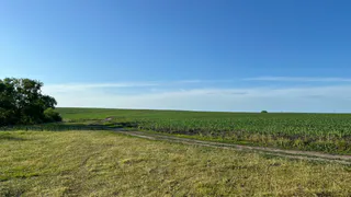 В 2025 году пензенские аграрии собрали более 3 миллионов тонн зерна