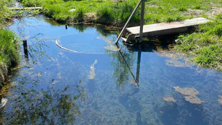 Переехала в заброшенную деревню, где жил 1 человек: на окраине в овраге нашла шанс стать богатой - вот на чем заработала первый млн
