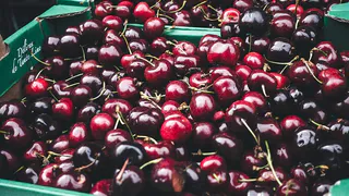 Птицы облетать вишню за километр и урожай останется целым: хитрость от эксперта