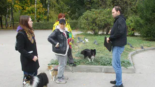 В Рязани проверили соблюдение правил по выгулу собак