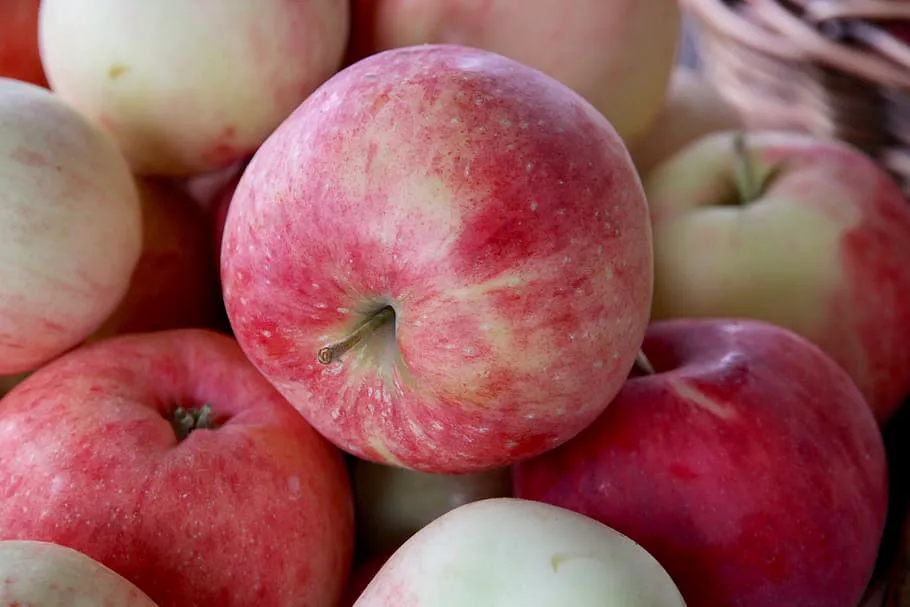 Всего 50 грамм и яблок будет тьма: важная весенняя подкормка