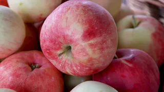 Всего 50 грамм и яблок будет тьма: важная весенняя подкормка