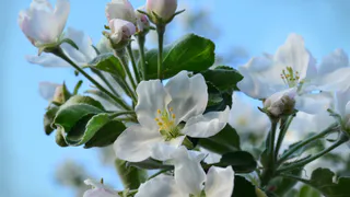 Прогноз синоптиков: какую погоду ждать рязанцам на выходных