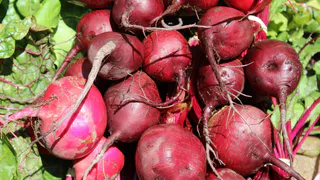 Не варю свеклу часами — достаточно 15 минут: использую хитрость— выходит вкуснее, сочнее и без запаха на весь дом