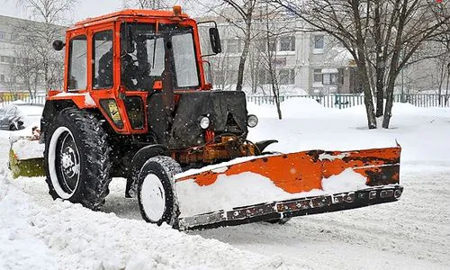 В Нижнекамске при уборке снега ломают молодые березки