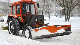 В Нижнекамске при уборке снега ломают молодые березки