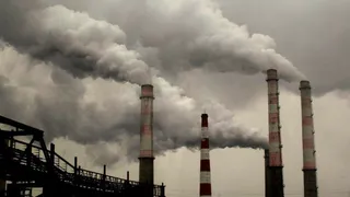 Брянская область заняла 66 место в Национальном экологическом рейтинге субъектов РФ