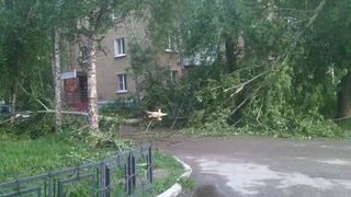 Метеопредупреждение: в Рязани обещают сильный ветер