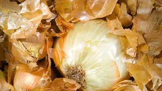 Чувашия экспортировала в Болгарию 20 тонн лука-севка