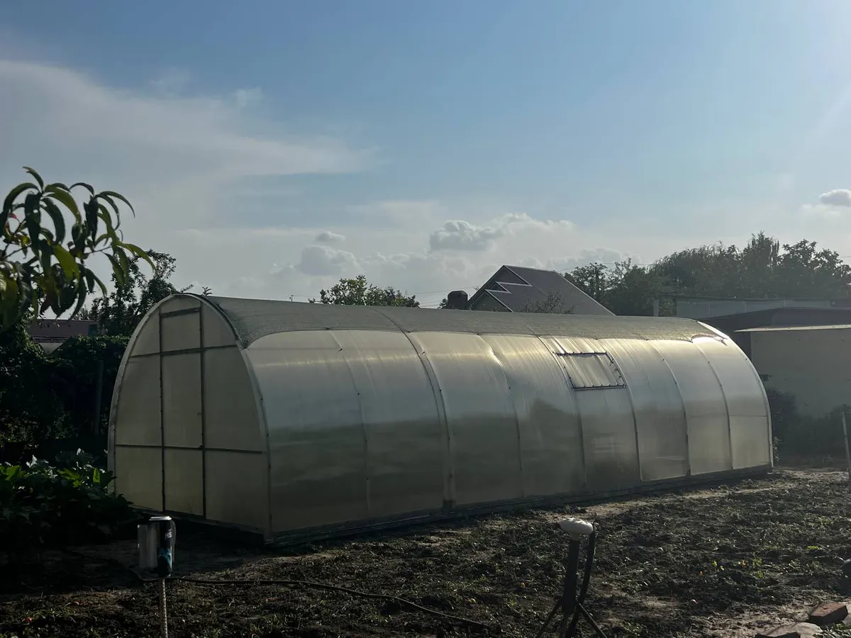 Каким будет лето 2025 после аномально теплой зимы: эксперты рассказали, к чему готовиться дачникам