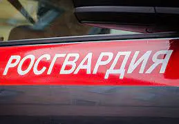 Пензенские сотрудники Росгвардии помогли потушить автомобиль